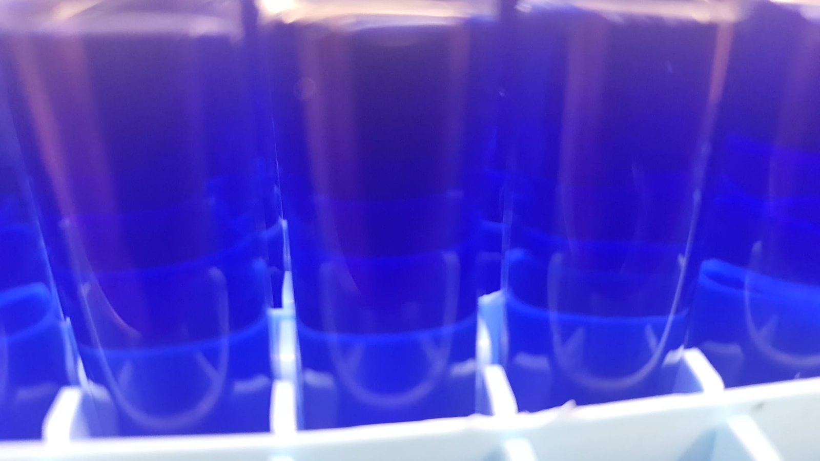 Glow Pen single chamber liquid cartridge Liquiprester — the blue glow of the P-EARLs liquid in its rack, Panacea Bio Chem