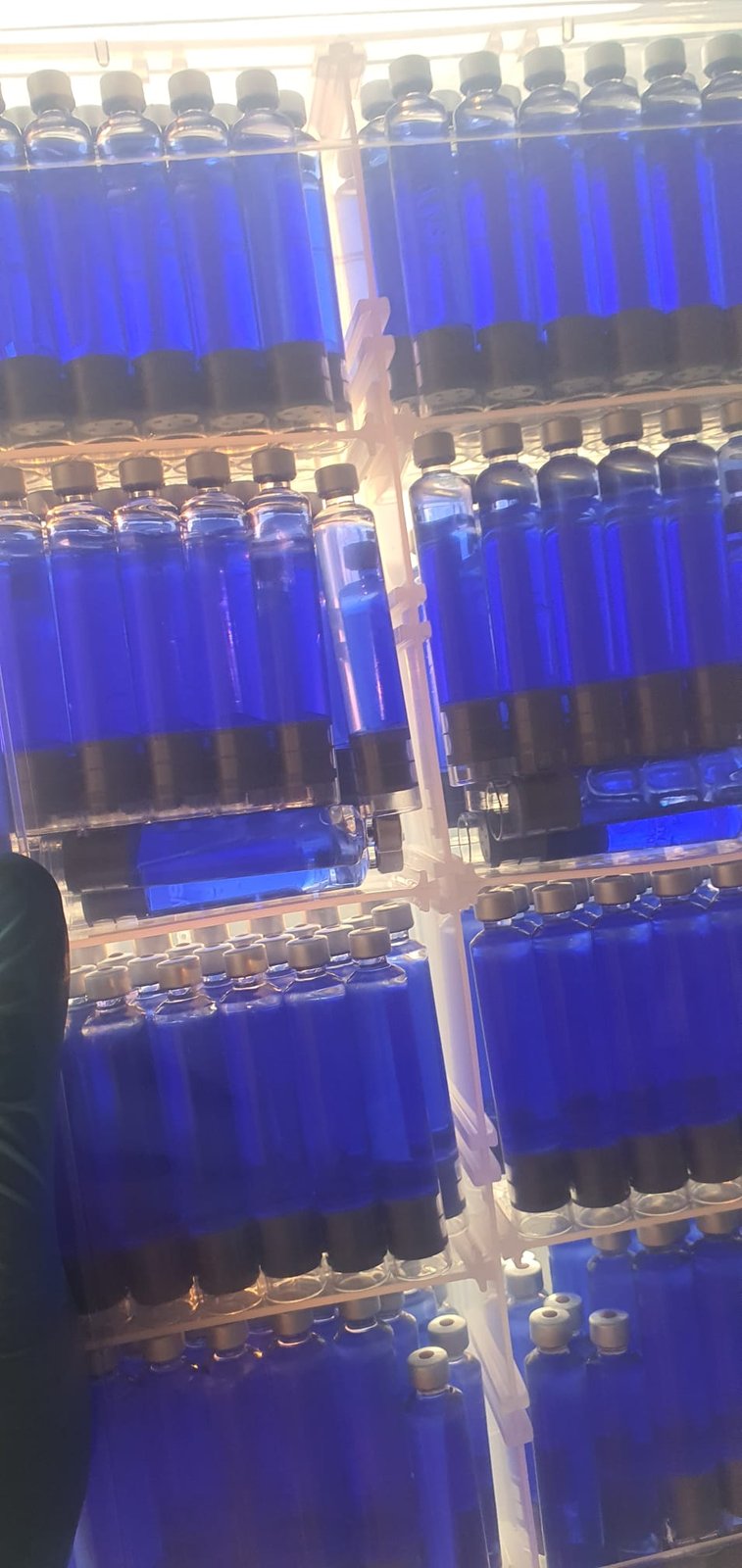 Single chamber cartridge Liquiprester